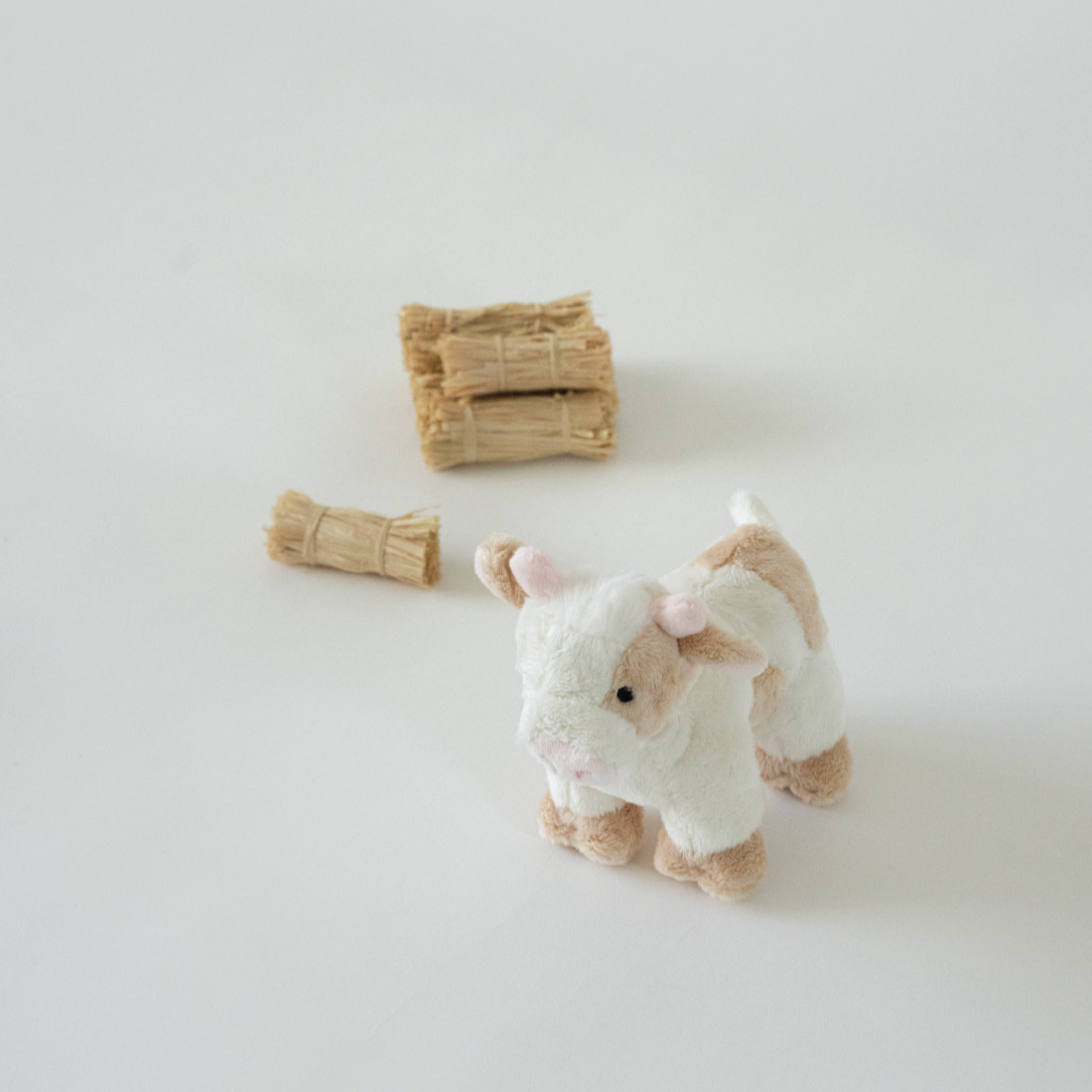 バディ カウ | Buddy Cow