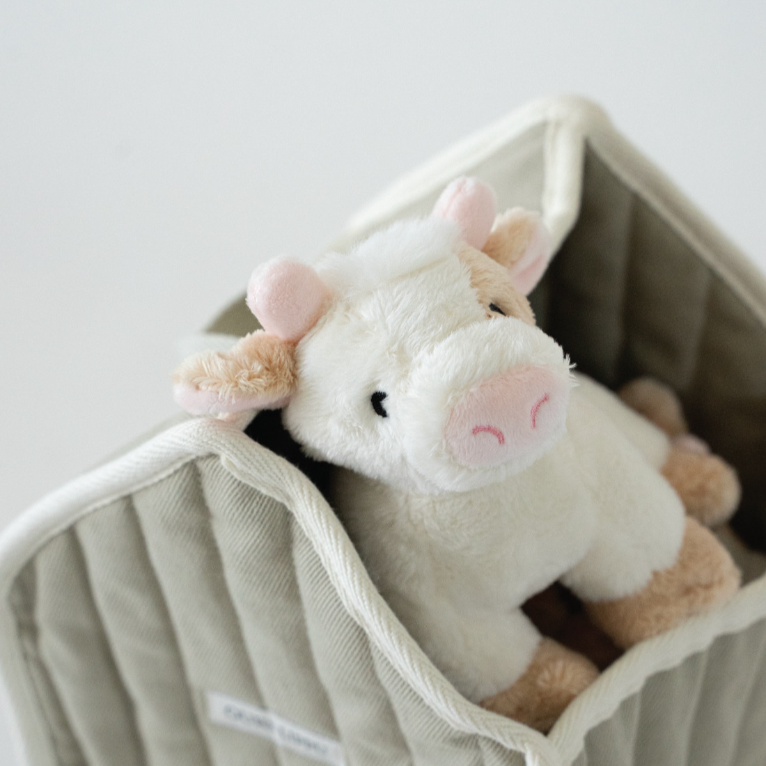 バディ カウ | Buddy Cow