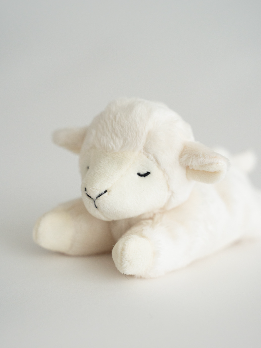 バディ ラム | Buddy Lamb