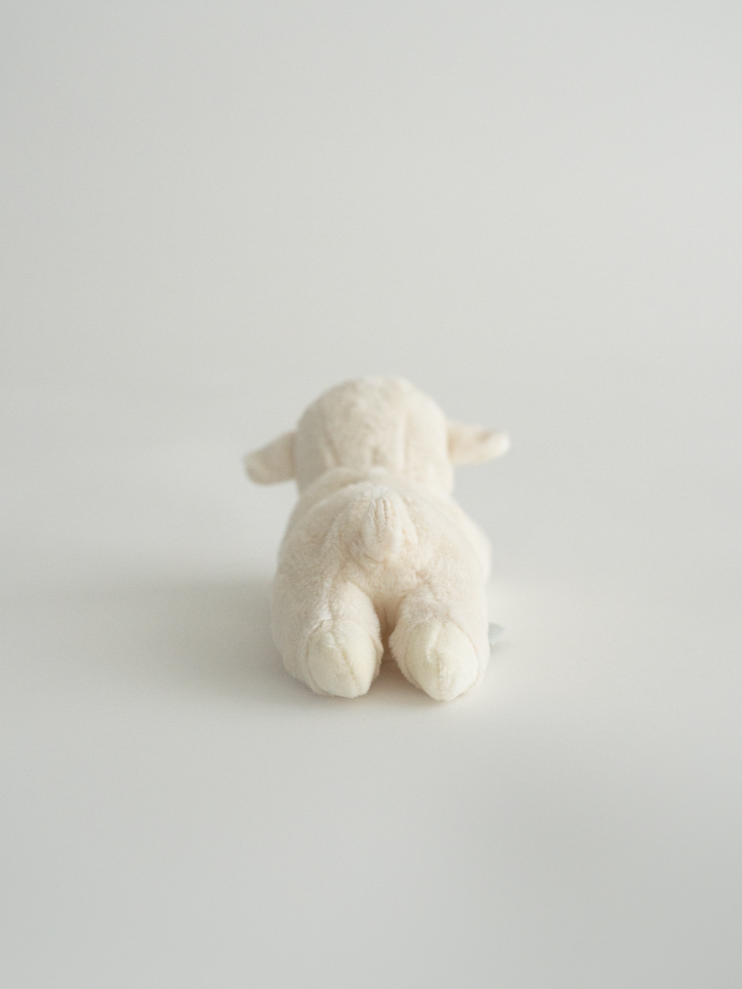バディ ラム | Buddy Lamb