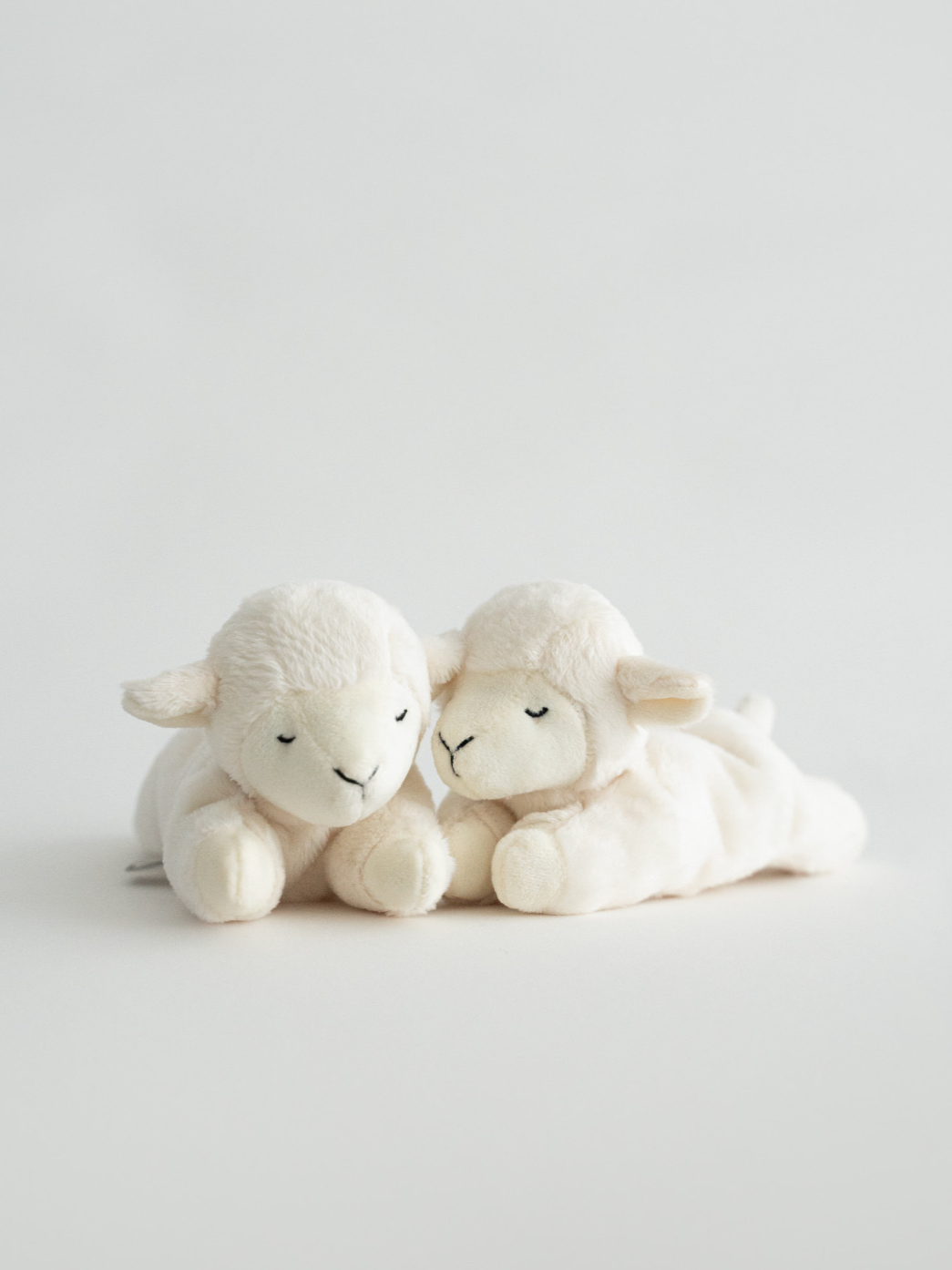 バディ ラム | Buddy Lamb