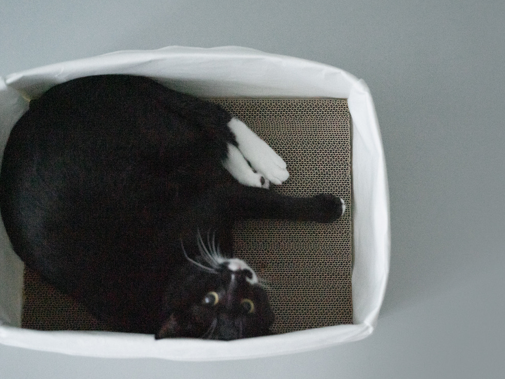 スリープバッグスクエア + ボックス スクラッチャー付き | Sleep Bag Square + Box Scratcher