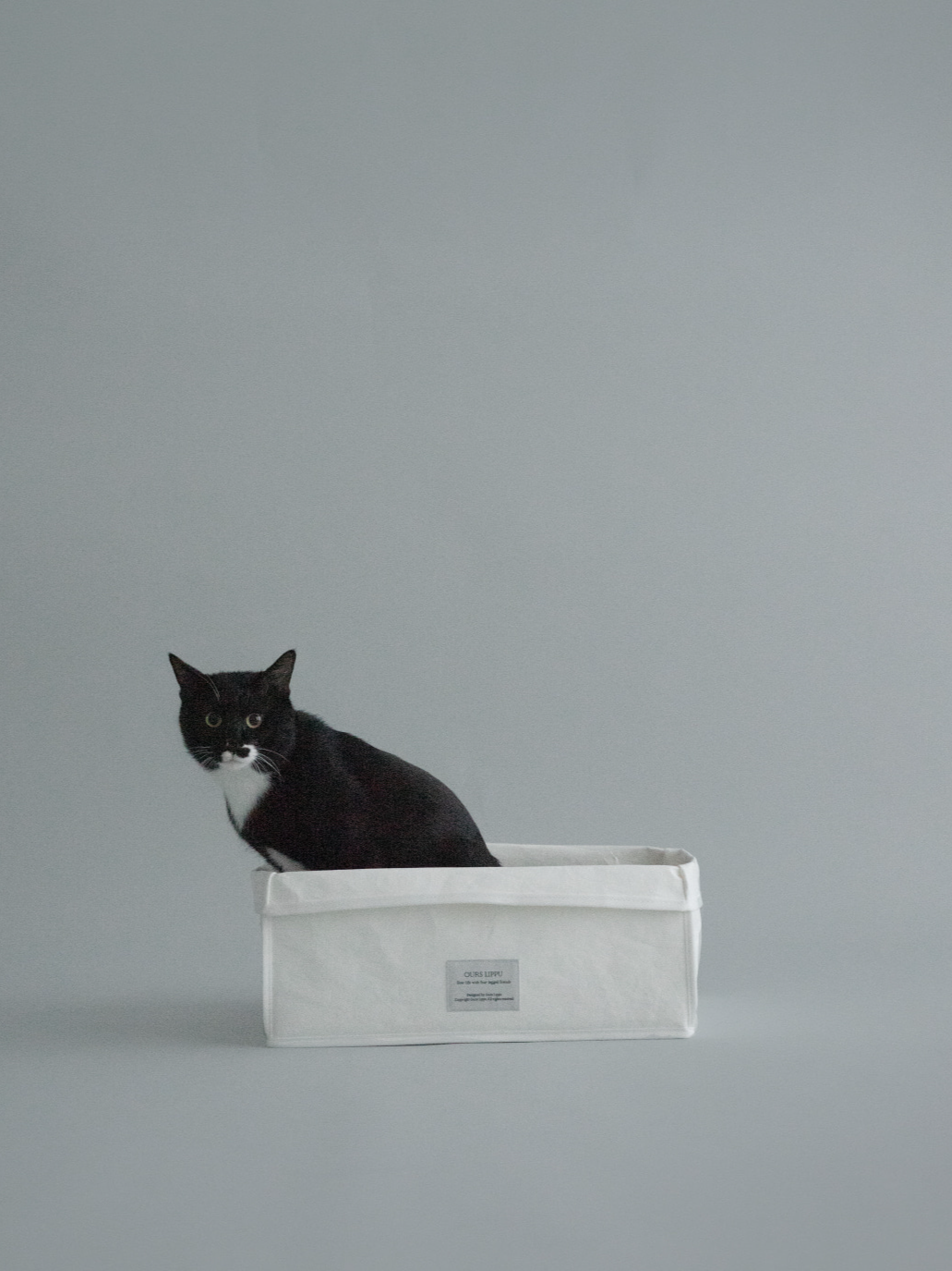 スリープバッグスクエア + ボックス スクラッチャー付き | Sleep Bag Square + Box Scratcher