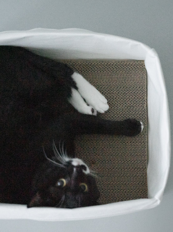 スリープバッグスクエア + ボックス スクラッチャー付き | Sleep Bag Square + Box Scratcher