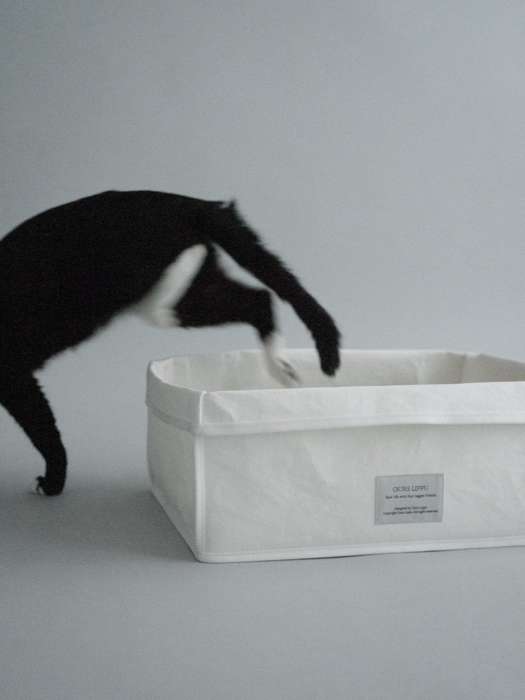 スリープバッグスクエア + ボックス スクラッチャー付き | Sleep Bag Square + Box Scratcher