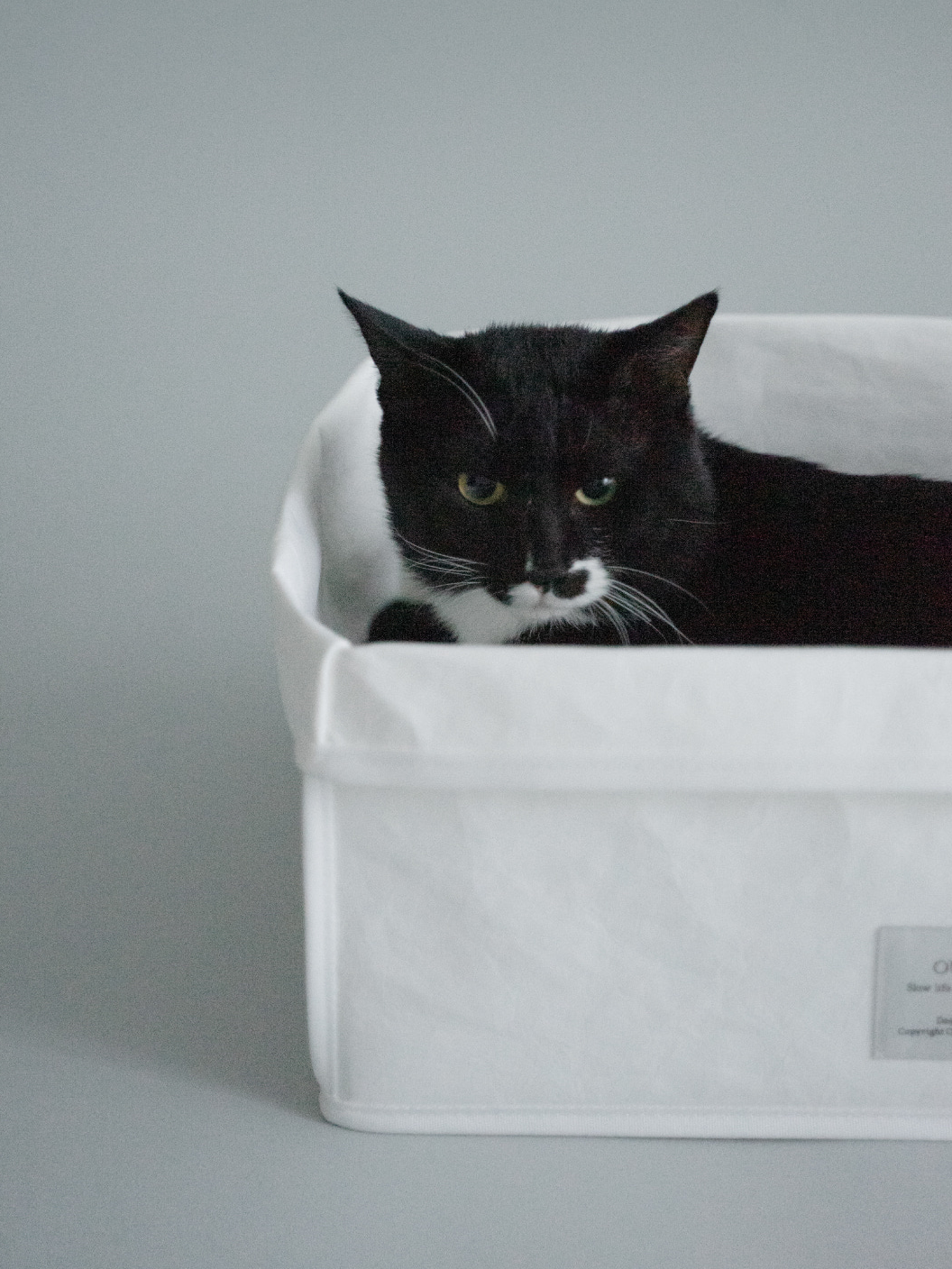 スリープバッグスクエア + ボックス スクラッチャー付き | Sleep Bag Square + Box Scratcher