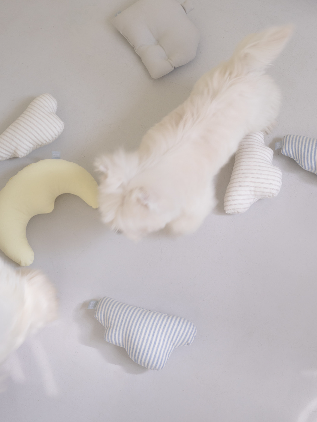 ソフト ハウス クッション / Soft House Cushion