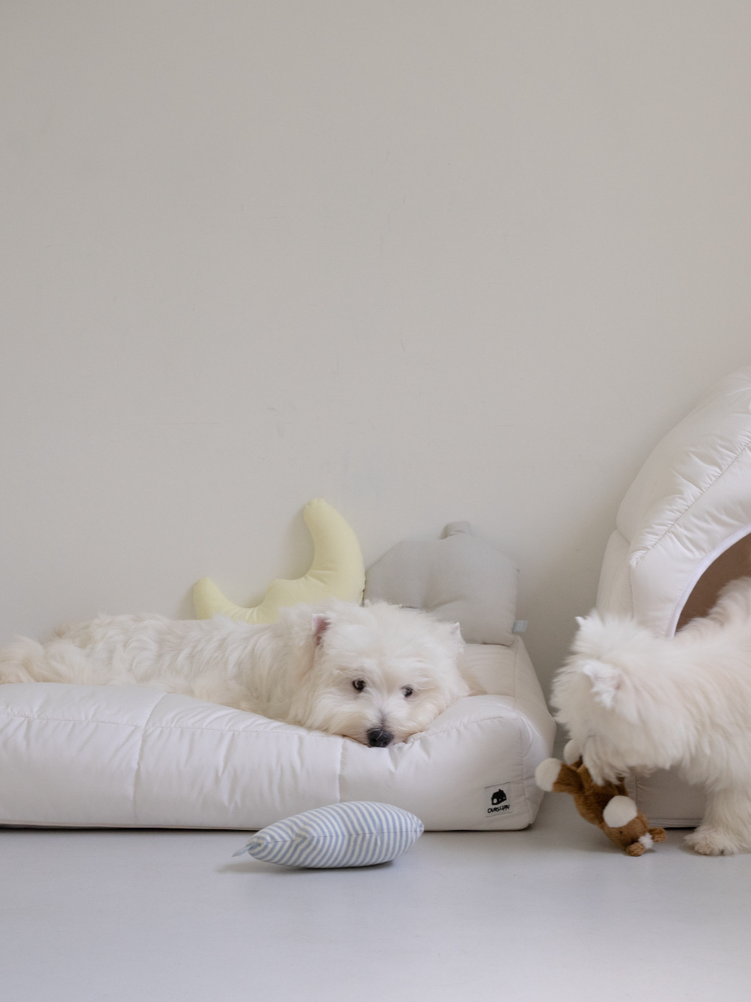 ソフト ハウス クッション / Soft House Cushion