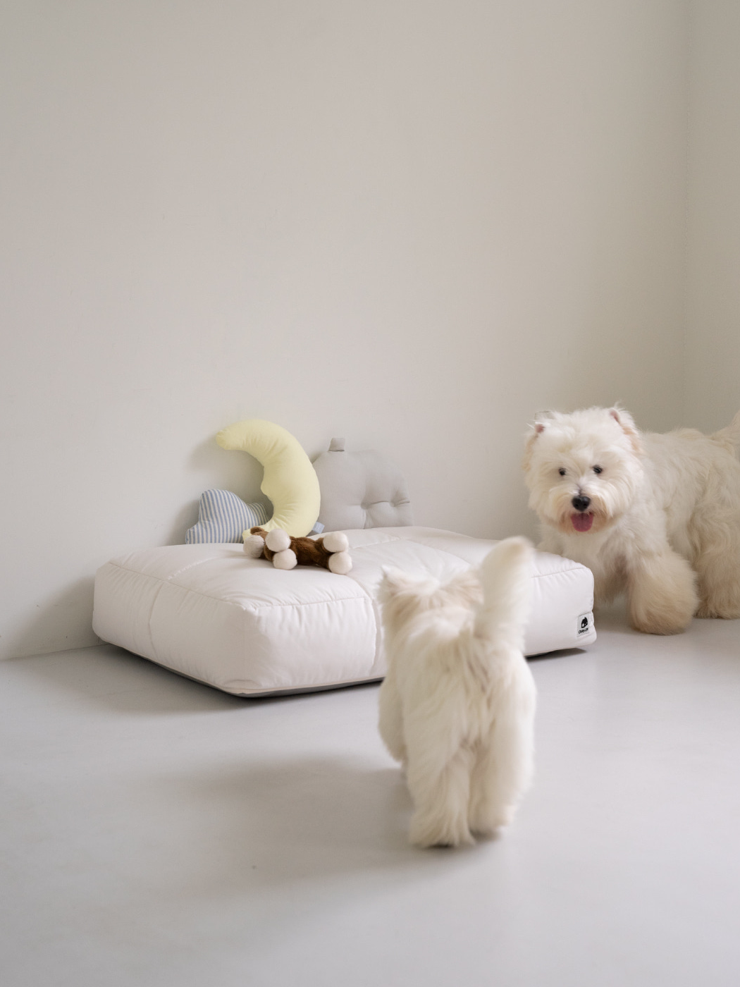ソフト ハウス クッション / Soft House Cushion