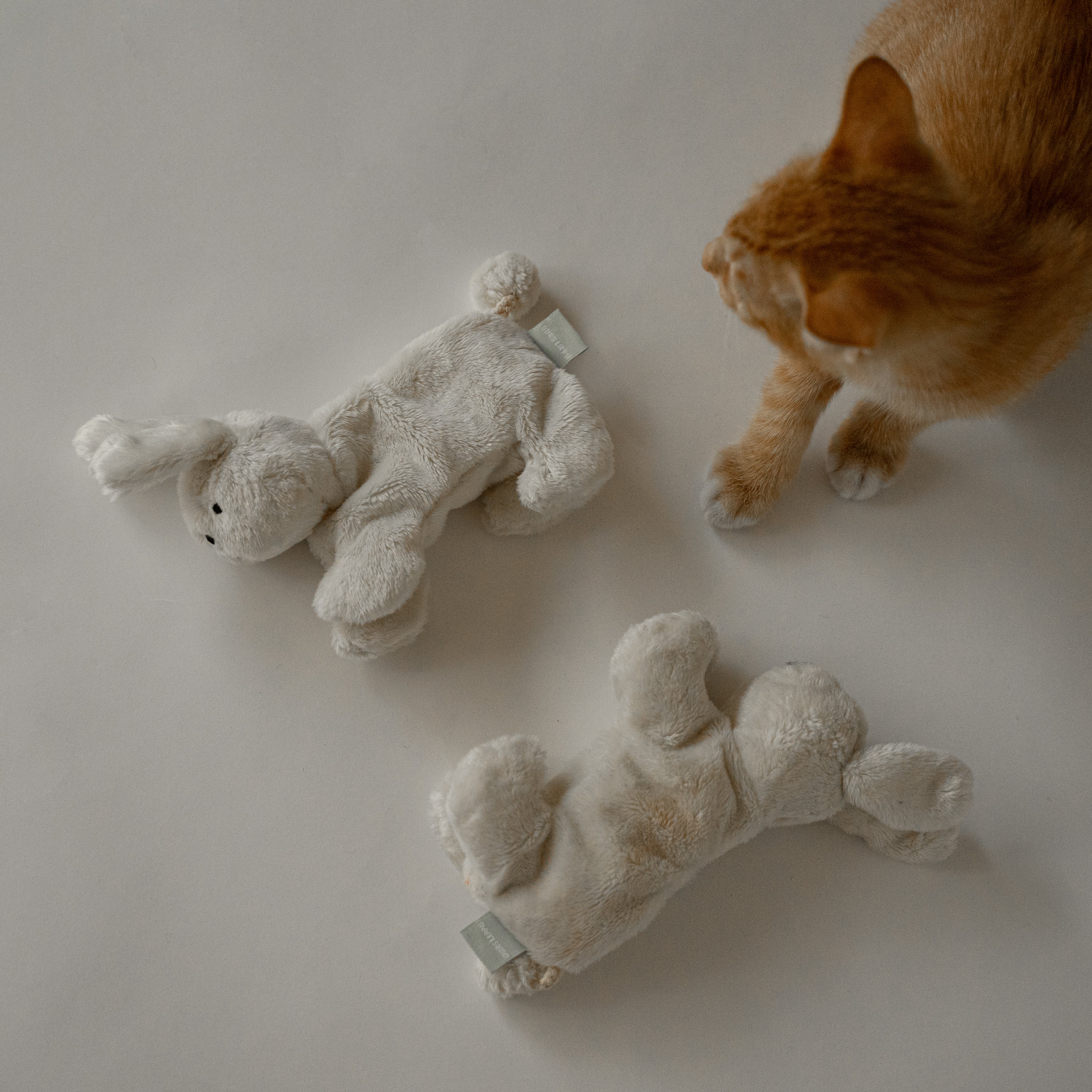 OURS LIPPU – My Store