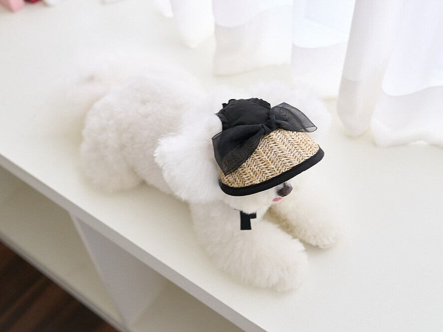 ブラックリボンサンキャップ | Black Ribbon Sun Cap