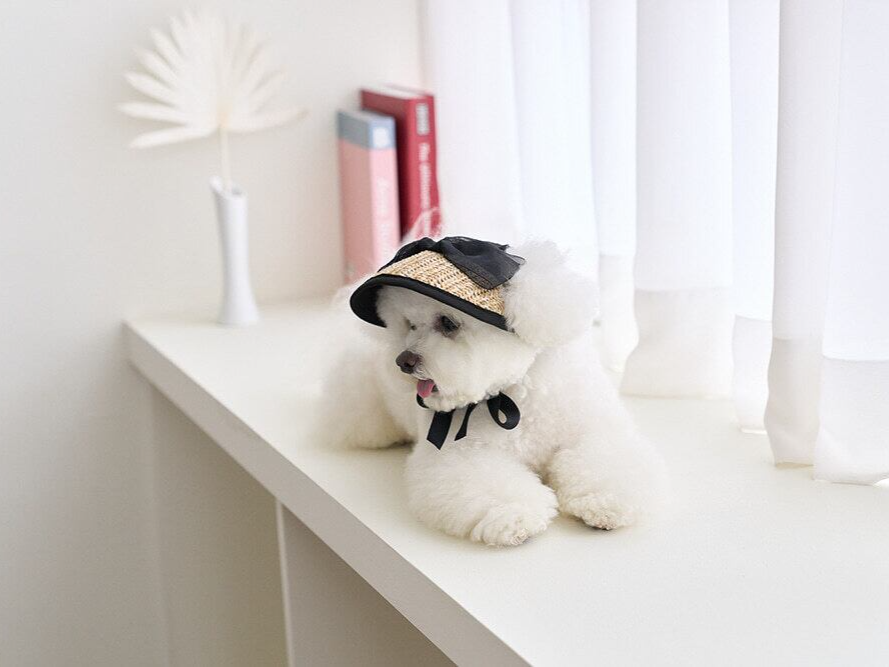 ブラックリボンサンキャップ | Black Ribbon Sun Cap