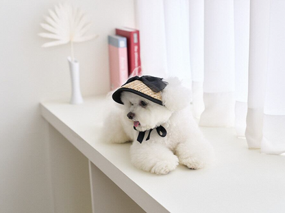 ブラックリボンサンキャップ | Black Ribbon Sun Cap