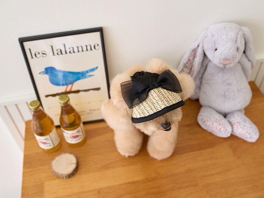 ブラックリボンサンキャップ | Black Ribbon Sun Cap