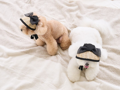 ブラックリボンサンキャップ | Black Ribbon Sun Cap