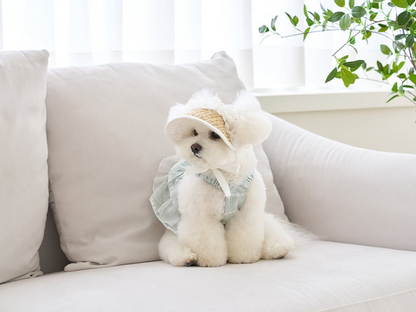 ラブリーゴールデンサマーキャップ | Lovely Cap