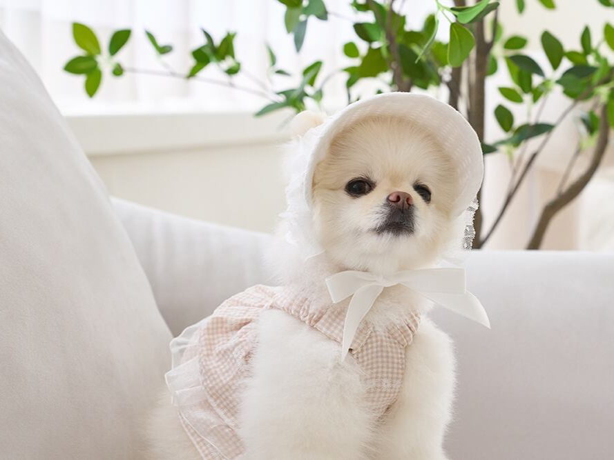 ラブリーゴールデンサマーキャップ | Lovely Cap