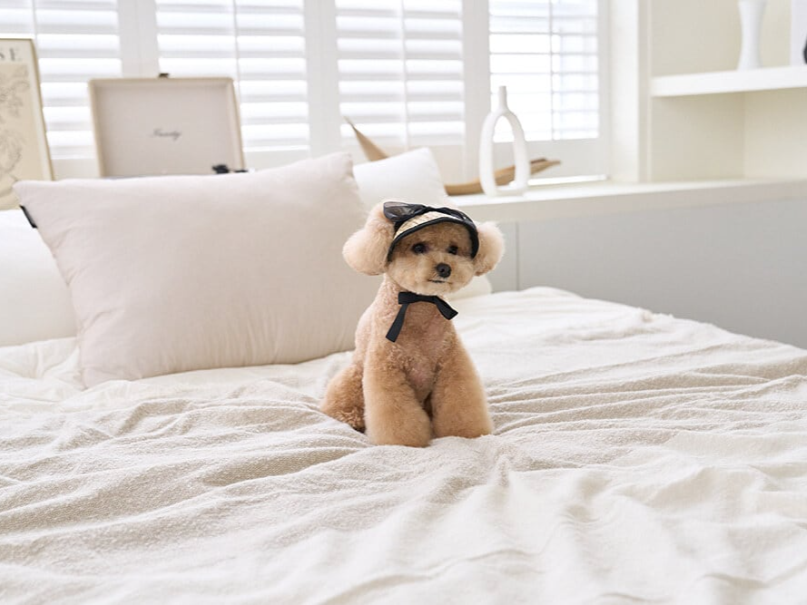 ブラックリボンサンキャップ | Black Ribbon Sun Cap