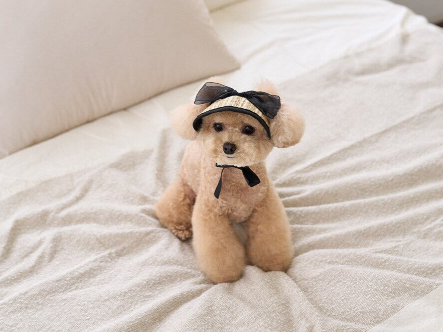 ブラックリボンサンキャップ | Black Ribbon Sun Cap