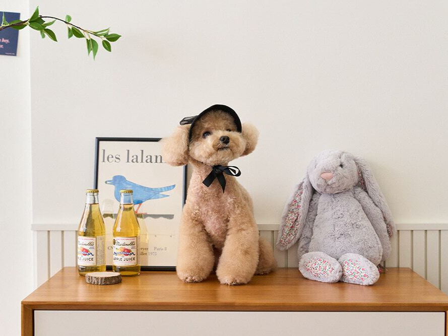 ブラックリボンサンキャップ | Black Ribbon Sun Cap