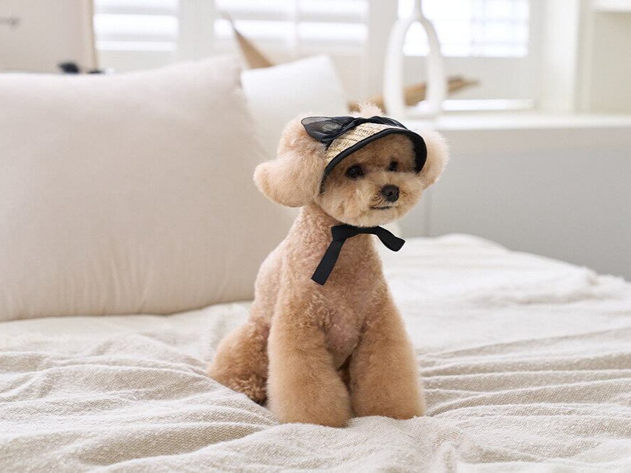 ブラックリボンサンキャップ | Black Ribbon Sun Cap