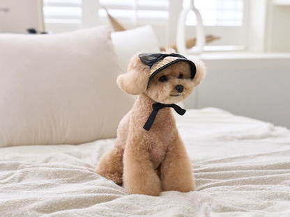 ブラックリボンサンキャップ | Black Ribbon Sun Cap