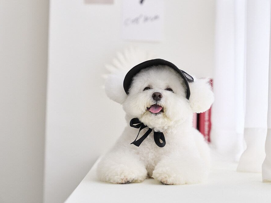 ブラックリボンサンキャップ | Black Ribbon Sun Cap