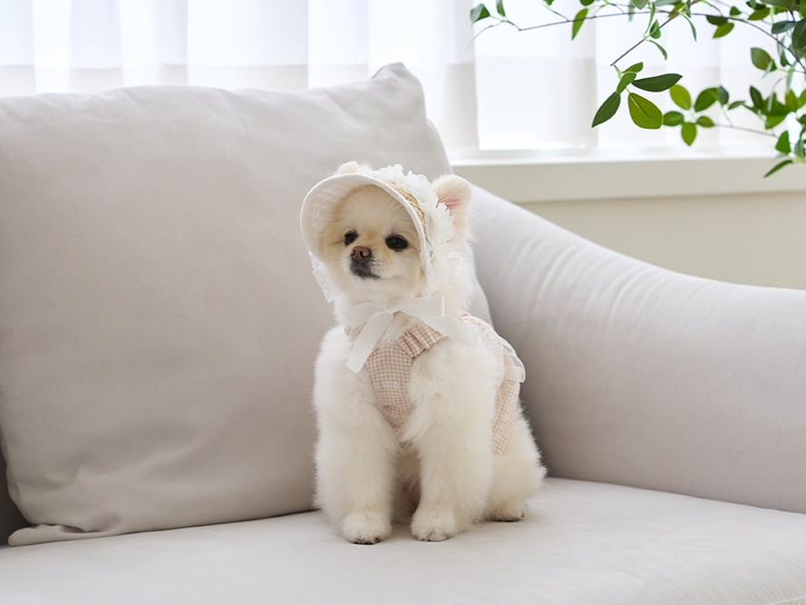 ラブリーゴールデンサマーキャップ | Lovely Cap