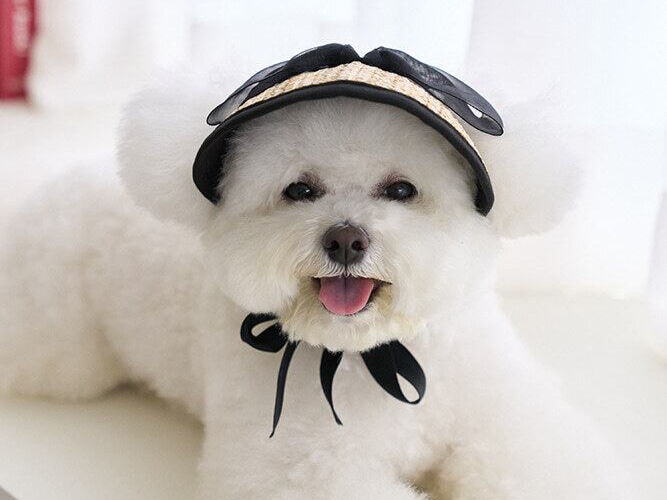 ブラックリボンサンキャップ | Black Ribbon Sun Cap