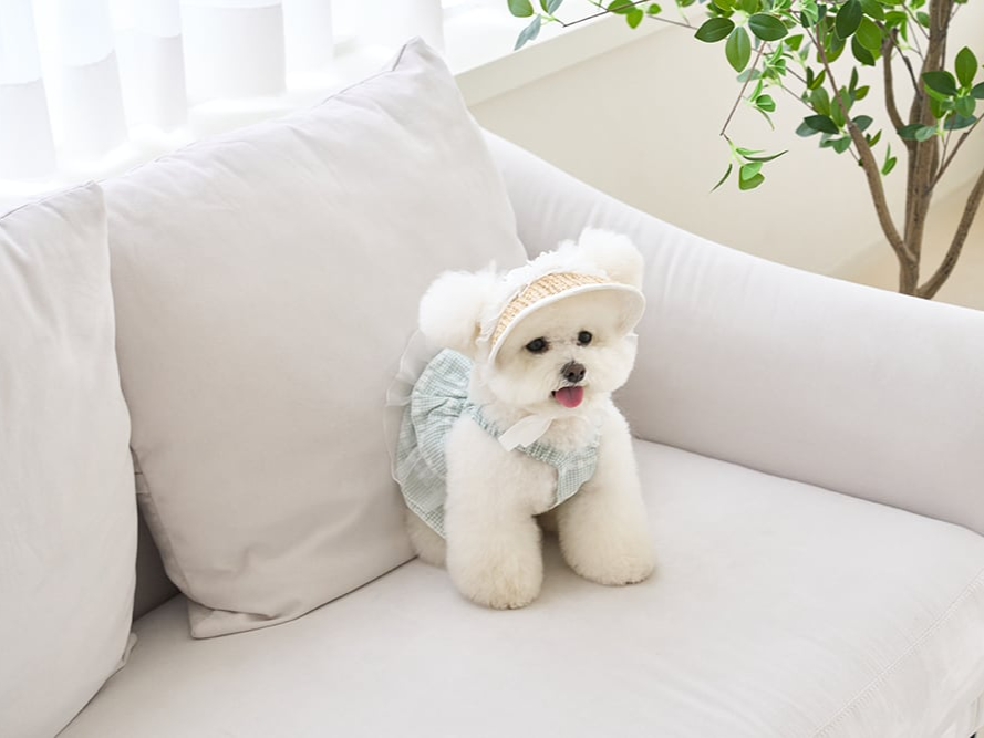 ラブリーゴールデンサマーキャップ | Lovely Cap