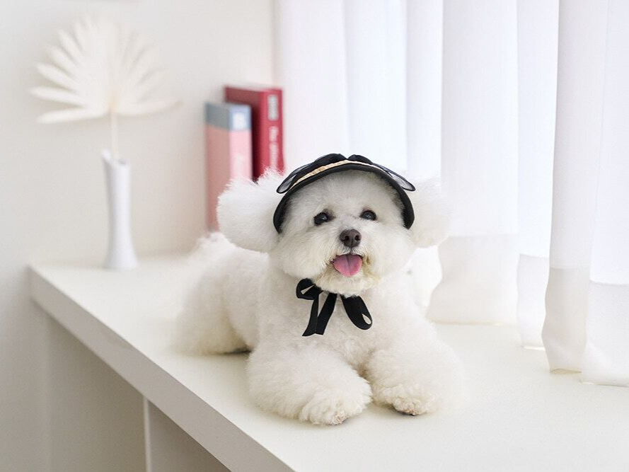 ブラックリボンサンキャップ | Black Ribbon Sun Cap