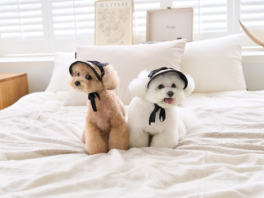 ブラックリボンサンキャップ | Black Ribbon Sun Cap