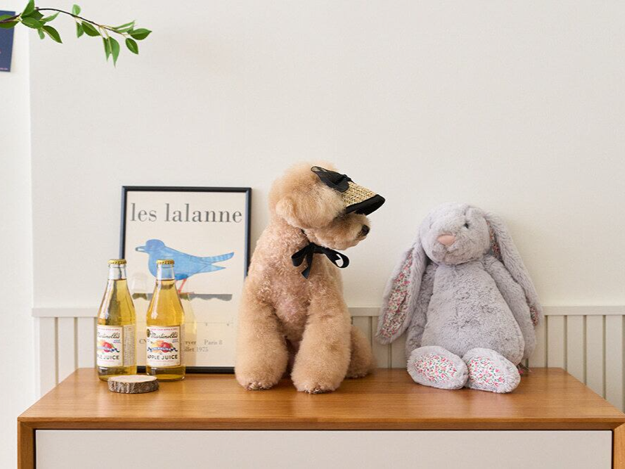 ブラックリボンサンキャップ | Black Ribbon Sun Cap