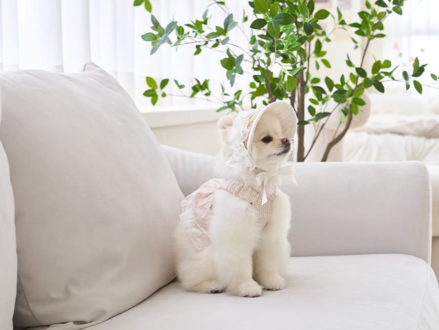 ラブリーゴールデンサマーキャップ | Lovely Cap