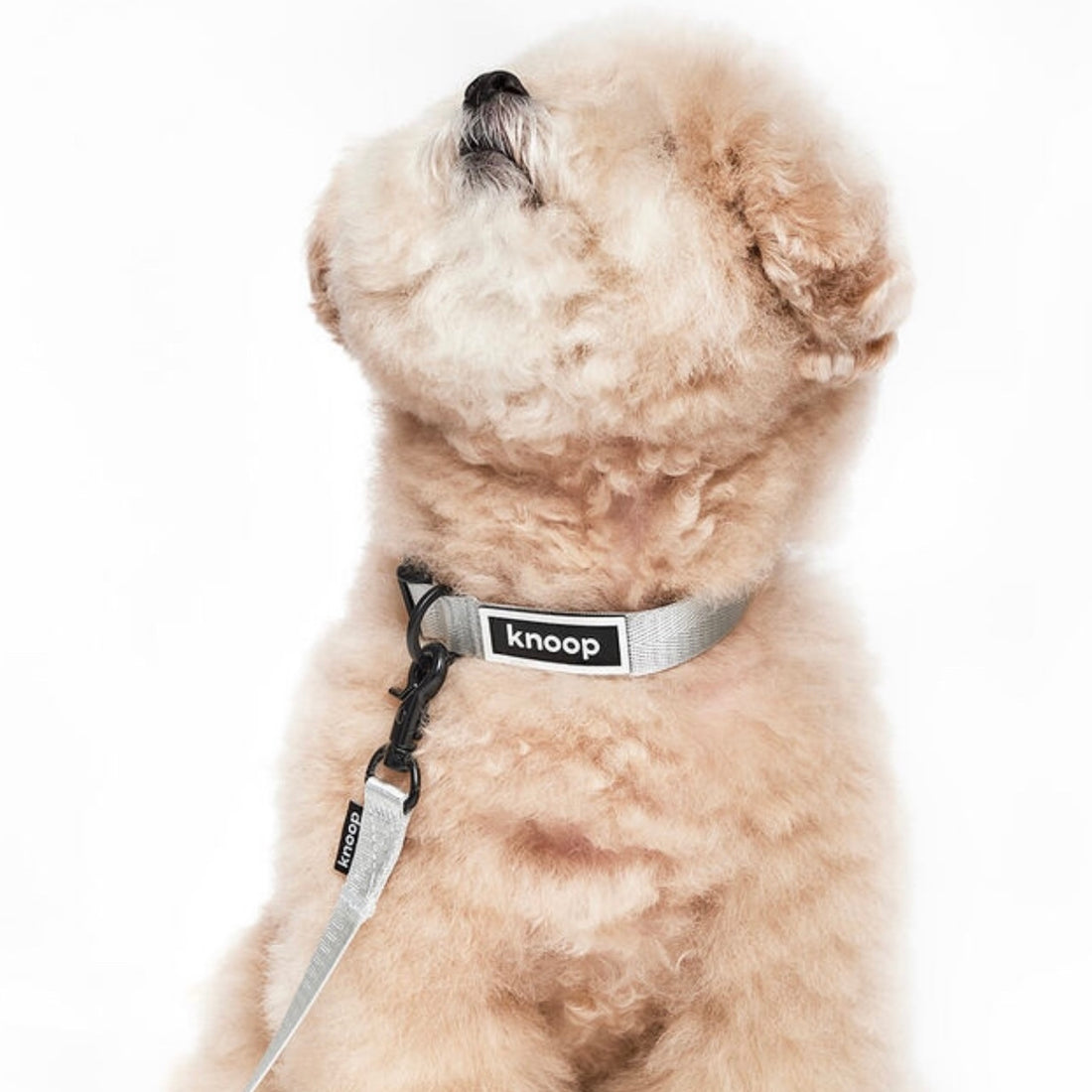 knoop | ムービングネックリーシュ首輪  / Moving Neck Leash