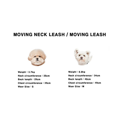 knoop | ムービングネックリーシュ首輪  / Moving Neck Leash