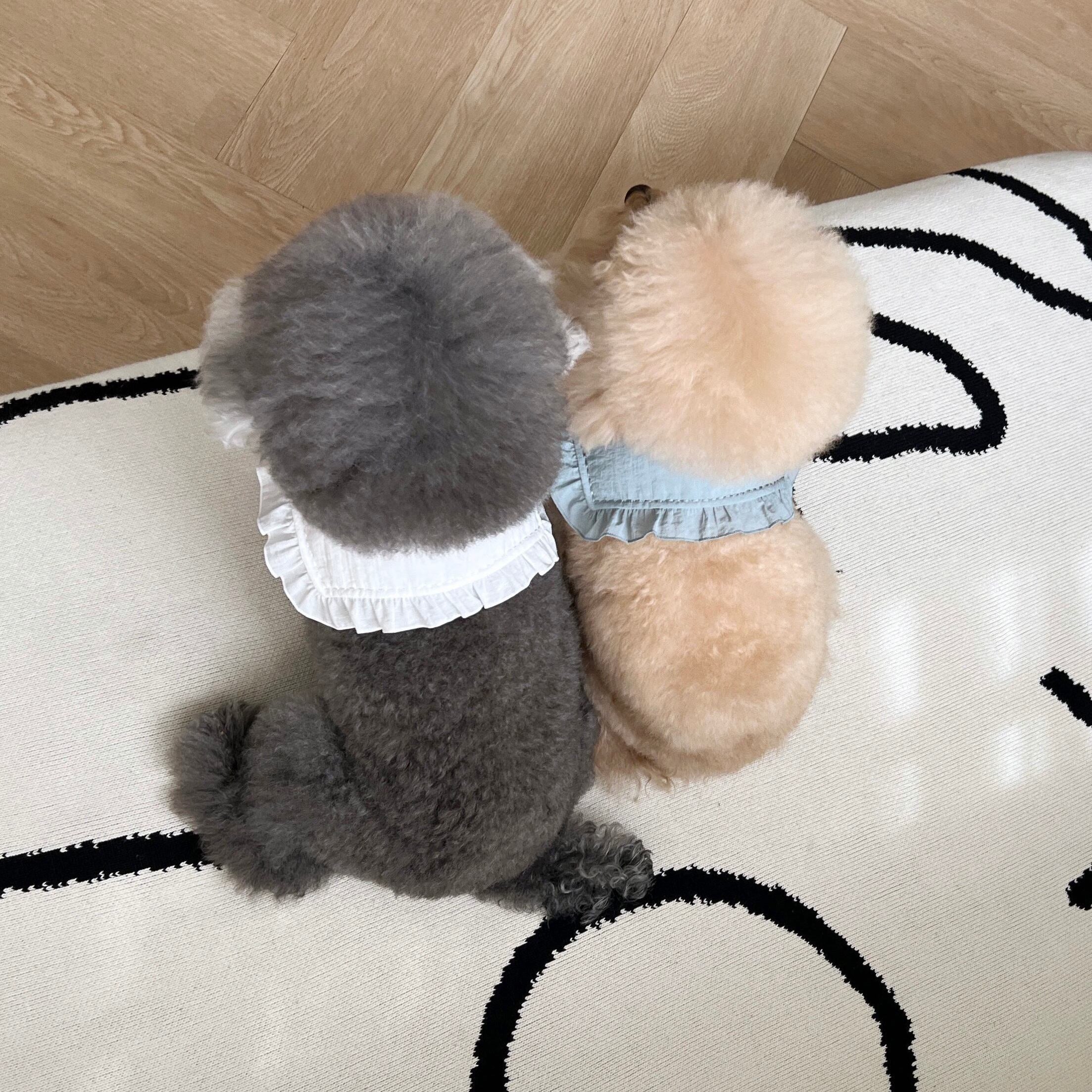 フルートカーラー | FULLETTE collar