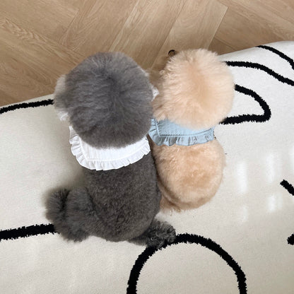 フルートカーラー | FULLETTE collar