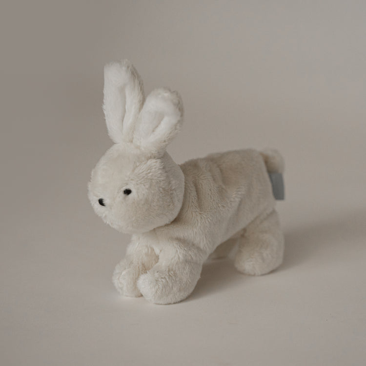 OURS LIPPU Buddy Bunny main image 0