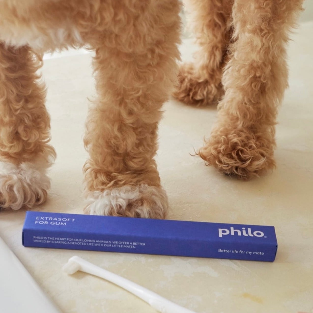 Philo | 犬用歯ブラシ / extra soft for gum