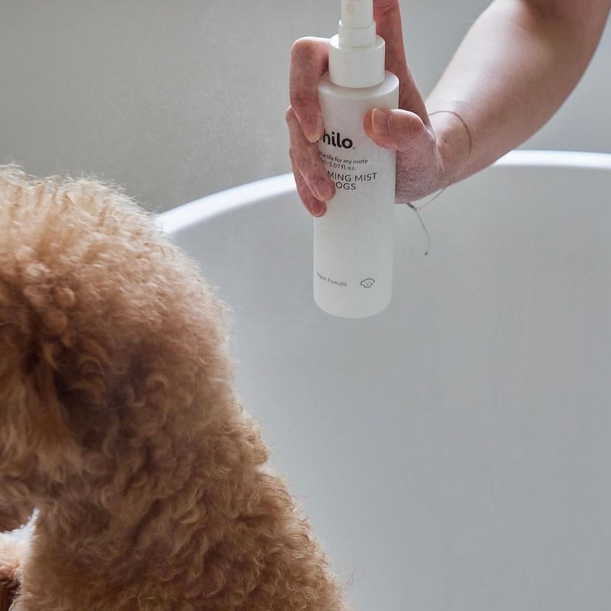 philo | 犬用カルミングミスト 150ml / calming mist for dogs 150ml